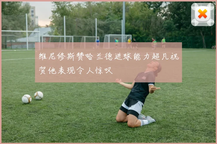 维尼修斯赞哈兰德进球能力超凡祝贺他表现令人惊叹