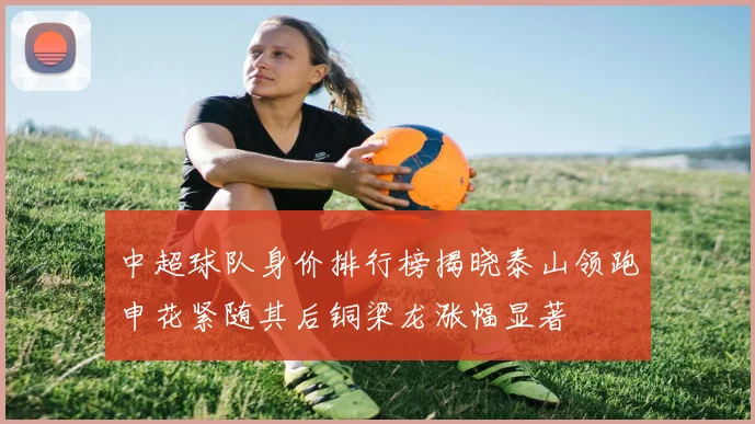 中超球队身价排行榜揭晓泰山领跑申花紧随其后铜梁龙涨幅显著